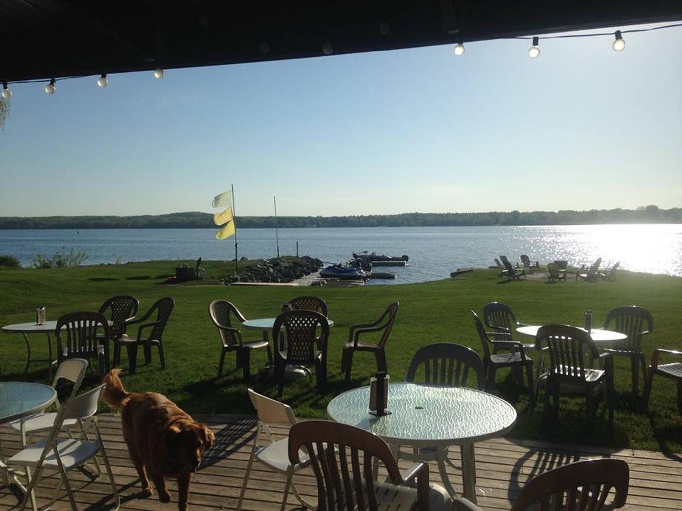Pet-Friendly Lakefront Dining in Door County Pet-friendly restaurant in Great Lakes