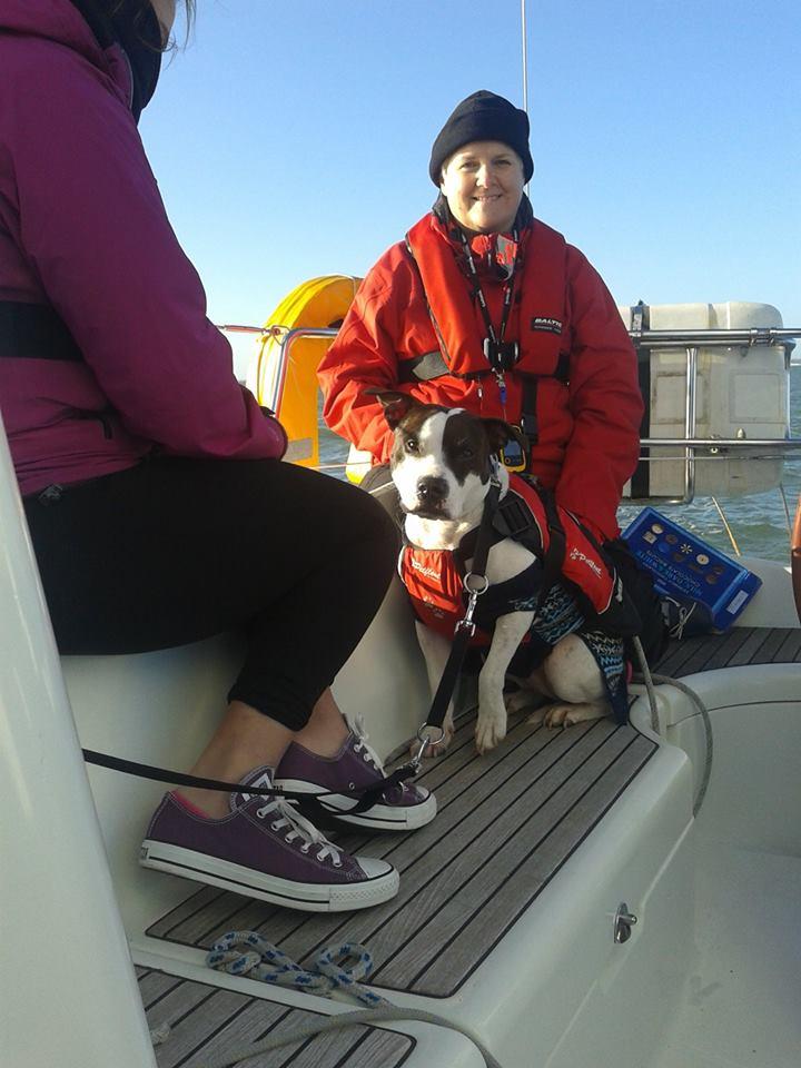 Taking the Dog on a Charter Boat Holiday - Sail Connections