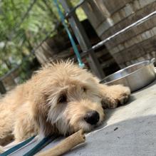 University of Beer restaurant view 6