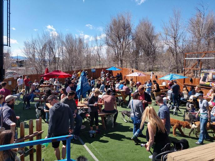 Watering Bowl Restaurant and Dog Park in Denver Denver Colorado Restaurant and Dog Park
