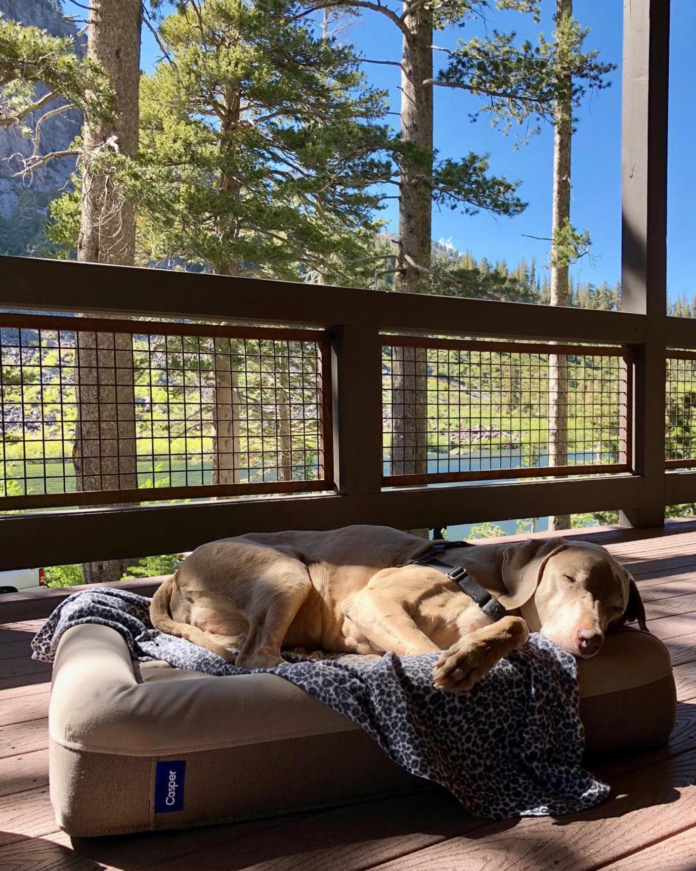 Lakefront Vacation at Twin Lakes in California Twin Lakes at Mammoth Lakes CA is a dog-friendly destination