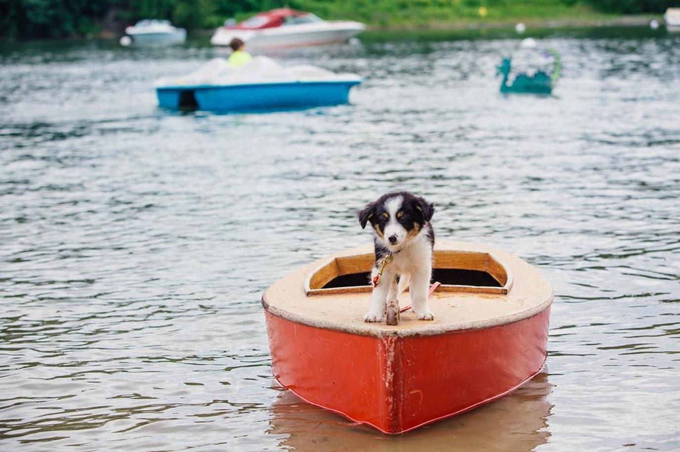 Lake Champlain Vacations dog-friendly Lake Champlain