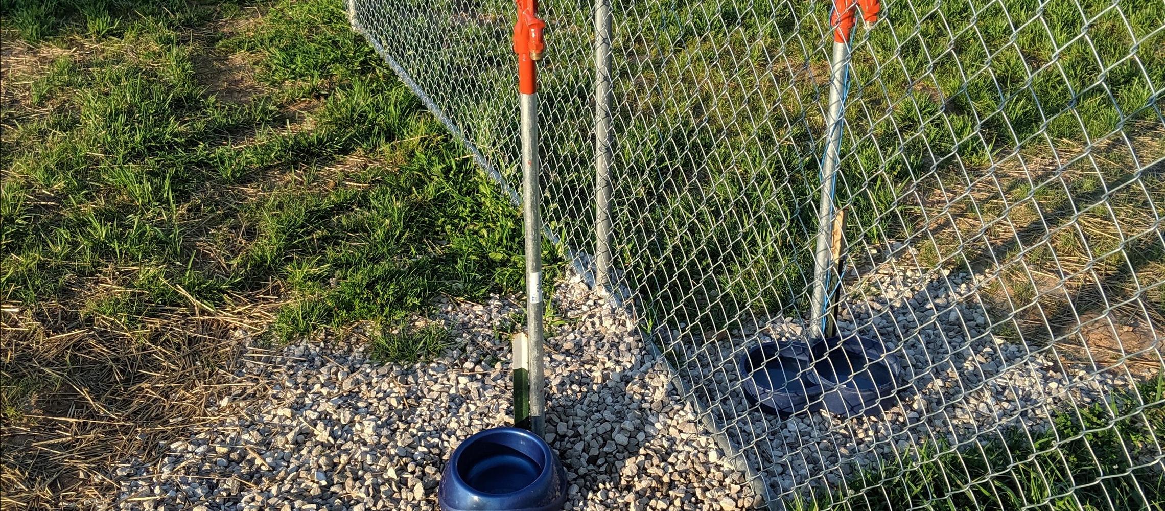 Dog Friendly Perryville, MO
