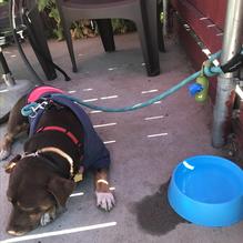 Broadway Cafe restaurant view 1