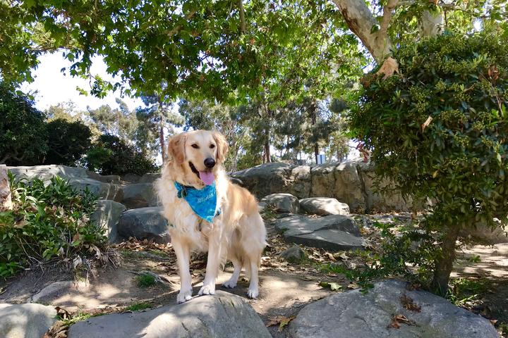 Pet Friendly Kenneth Hahn State Recreation Area