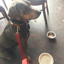 Seafire Restaurant + Bar restaurant view 1