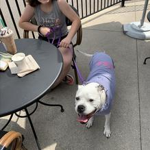 Starbucks restaurant view 2