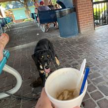 Storm's Drive-In restaurant view 1