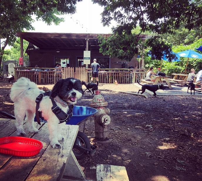 ParkGrounds in Atlanta Georgia welcomes dogs Atlanta Georgia ParkGrounds dog friendly restaurant