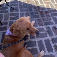 Barnacle Billy's restaurant view 5