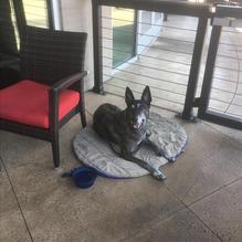 Burger Republic restaurant view 1