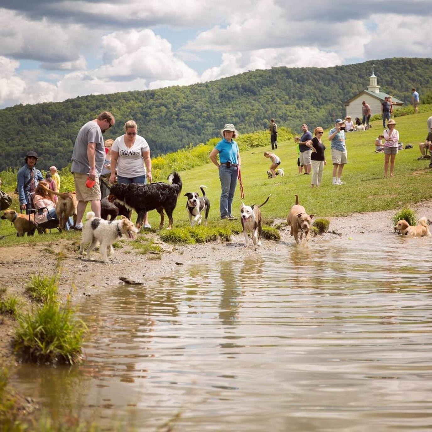 Dog Mountain Summer Dog Party Takes Place Annually in August. The Dog Mountain Summer Dog Party is an annual dog-friendly event held in August.