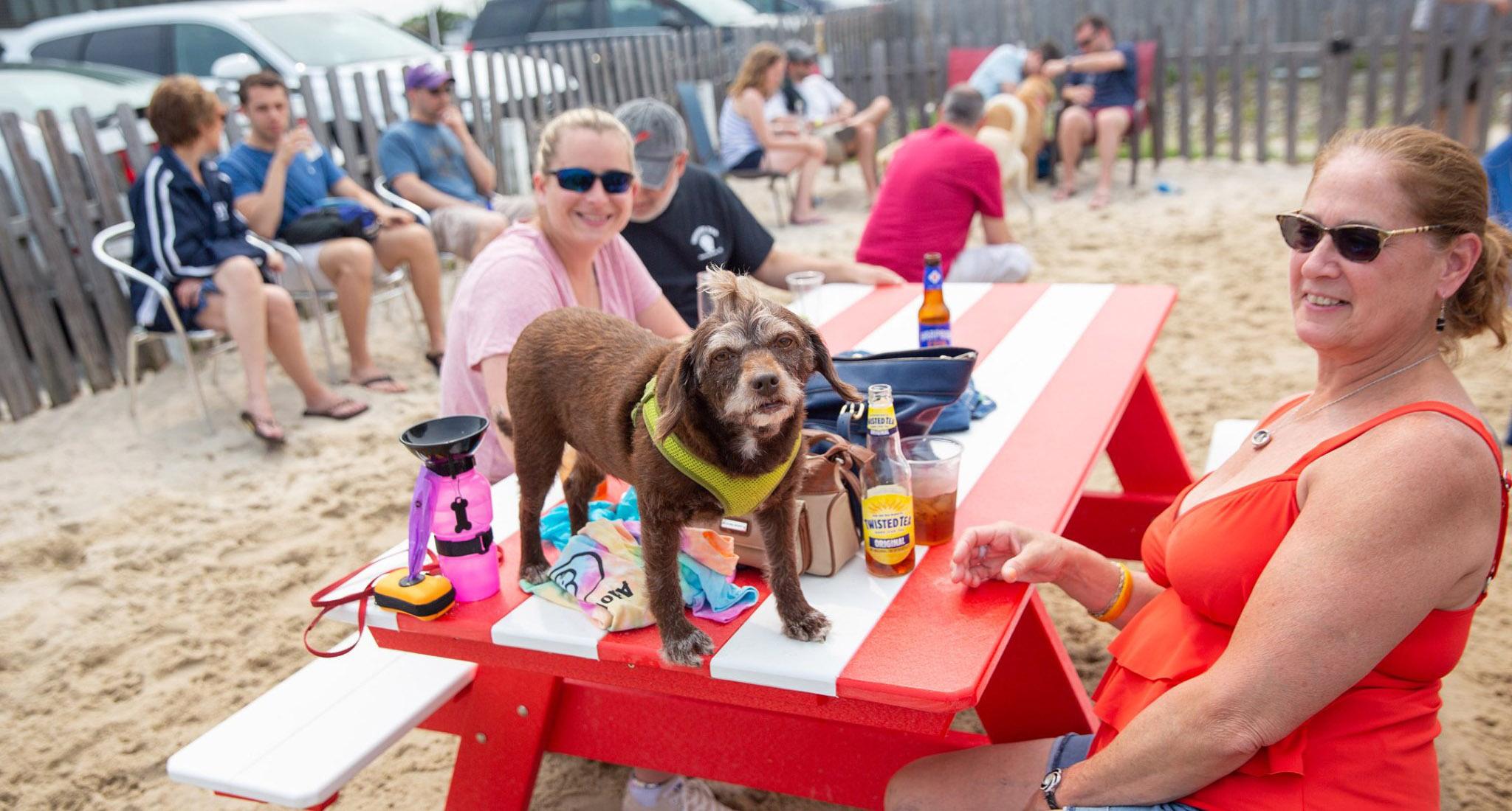 Fantastic Yappy Hours & Where to Find Them