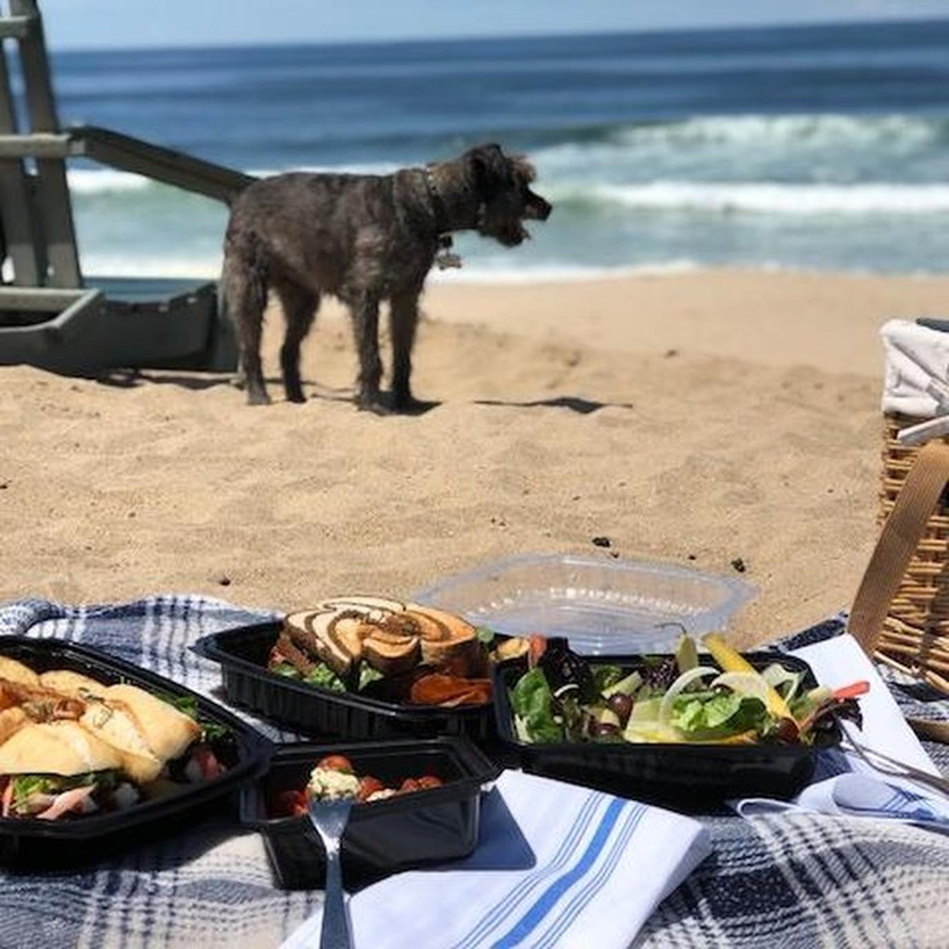 Pet-friendly Sanctuary Beach Resort on the Coast of Monterey Bay Pet-friendly Sanctuary Beach Resort is south of San Jose in Monterey Bay.