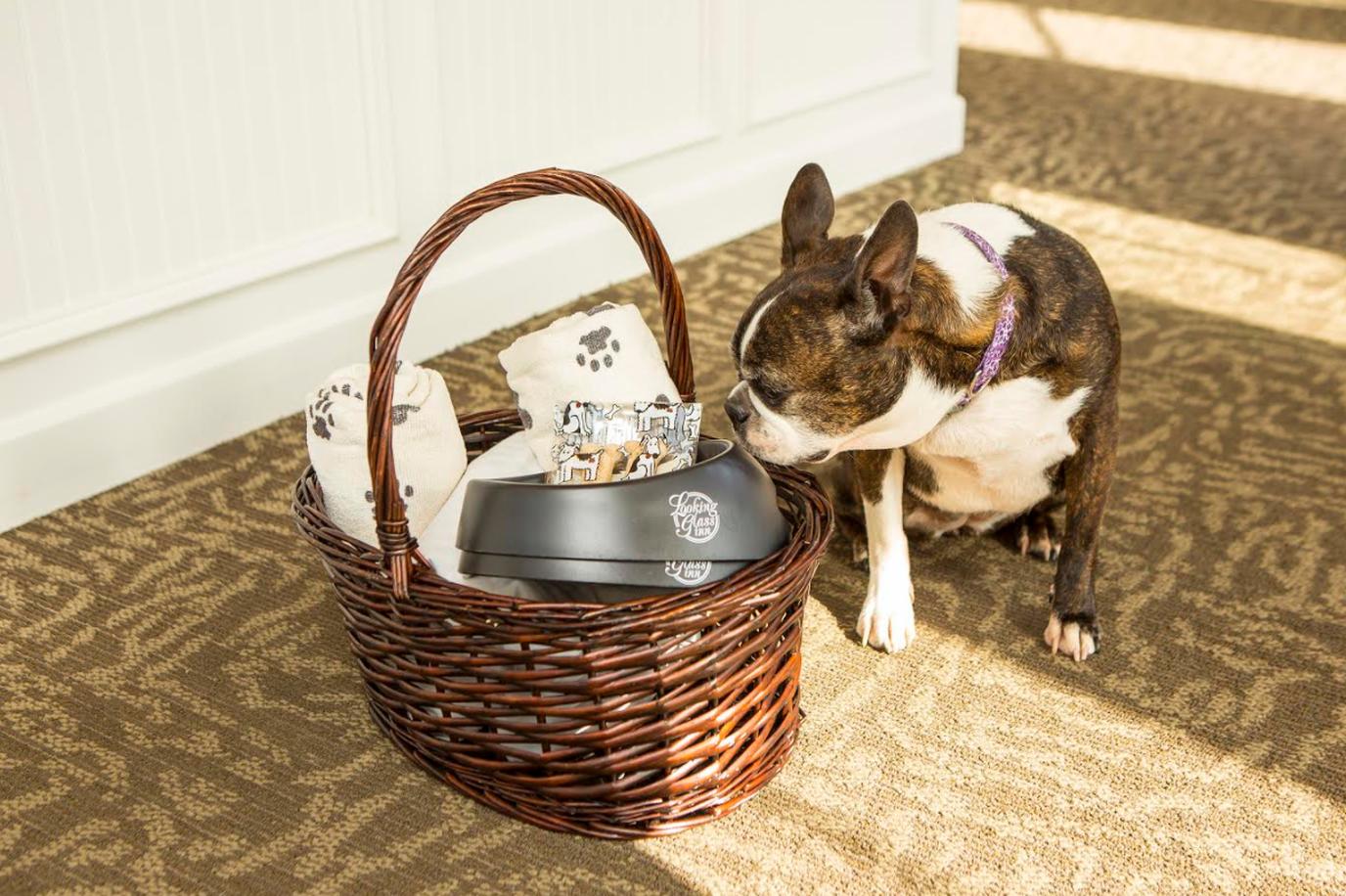 The Dog Welcome Basket at pet-friendly Looking Glass Inn in Oregon Oceanfront Looking Glass Inn supplies guests with dogs a welcome basket.