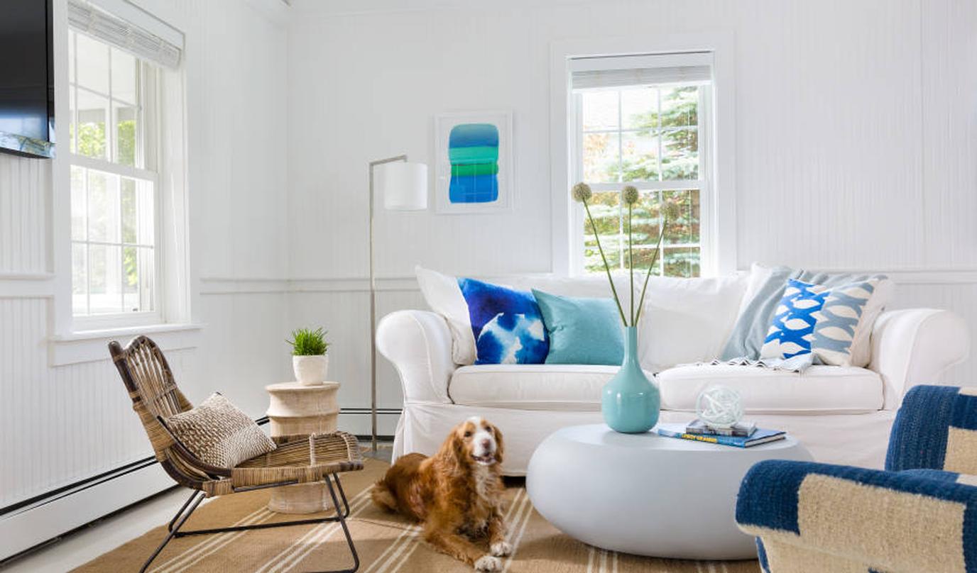Blue Inn on the Beach in Massachusetts is Pet Friendly Blue Inn on the Beach on Plum Island welcomes dogs.