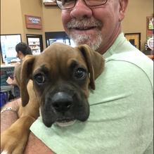 Tavern at Towne Lake restaurant view 6