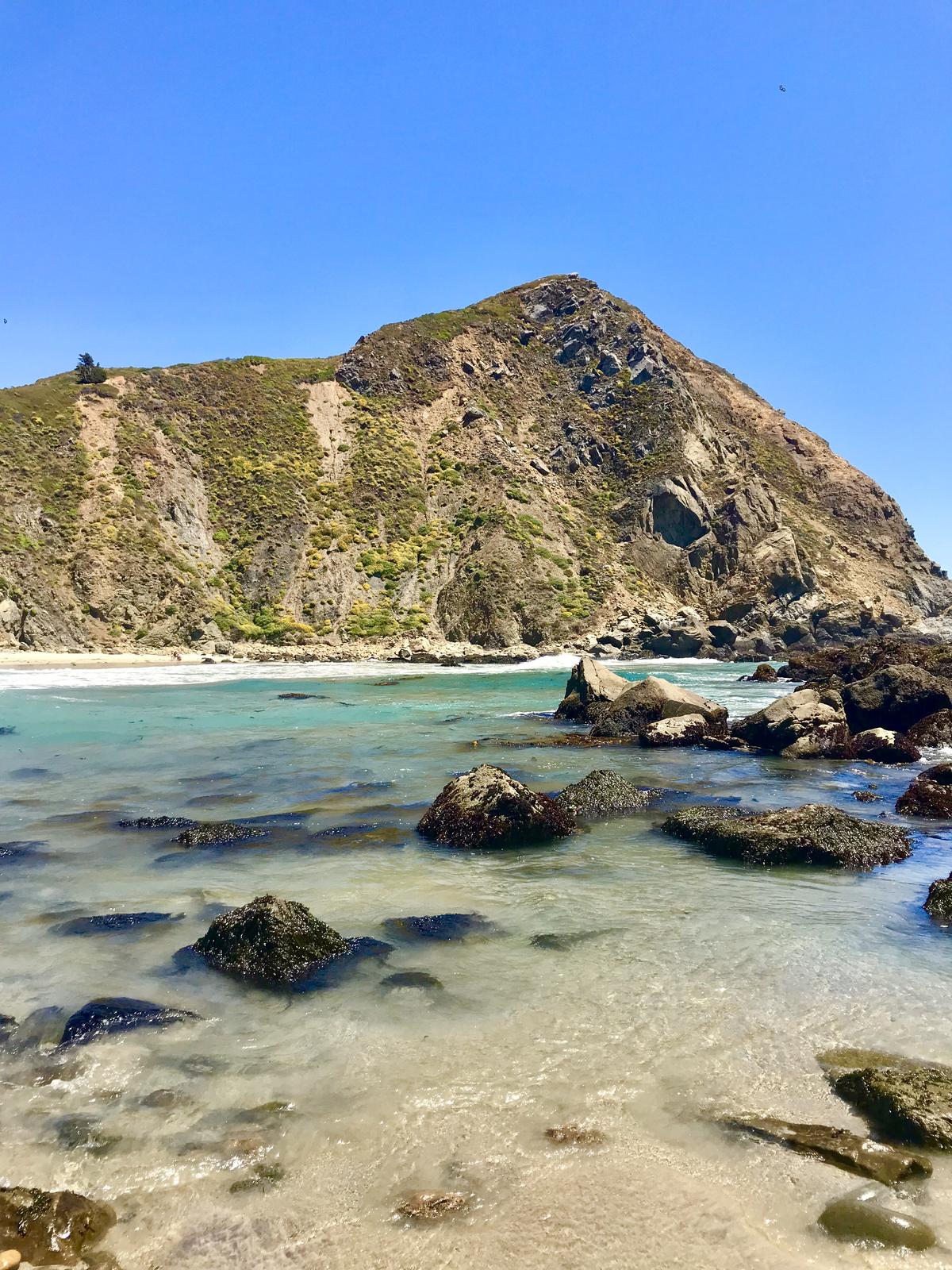 Beautiful Beach, Not Good for Dogs