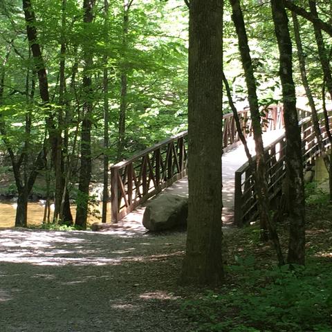 Dog Friendly Gatlinburg Tn Bring Fido