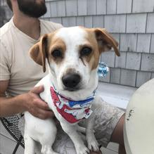 Barnacle Billy's restaurant view 4