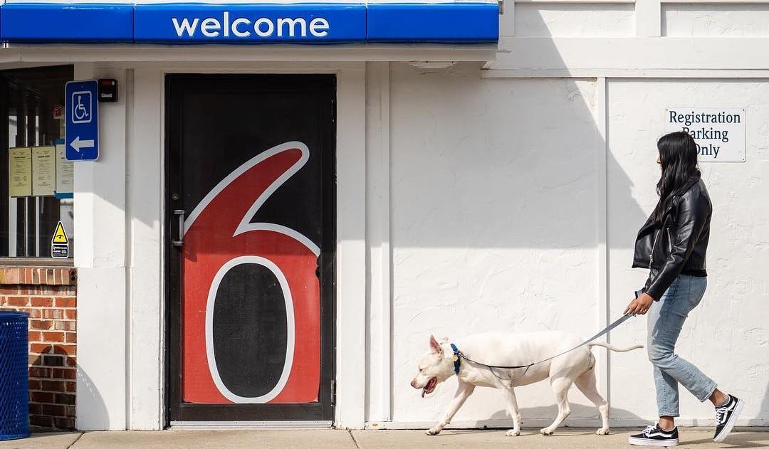 Motel 6 cheap allow dogs