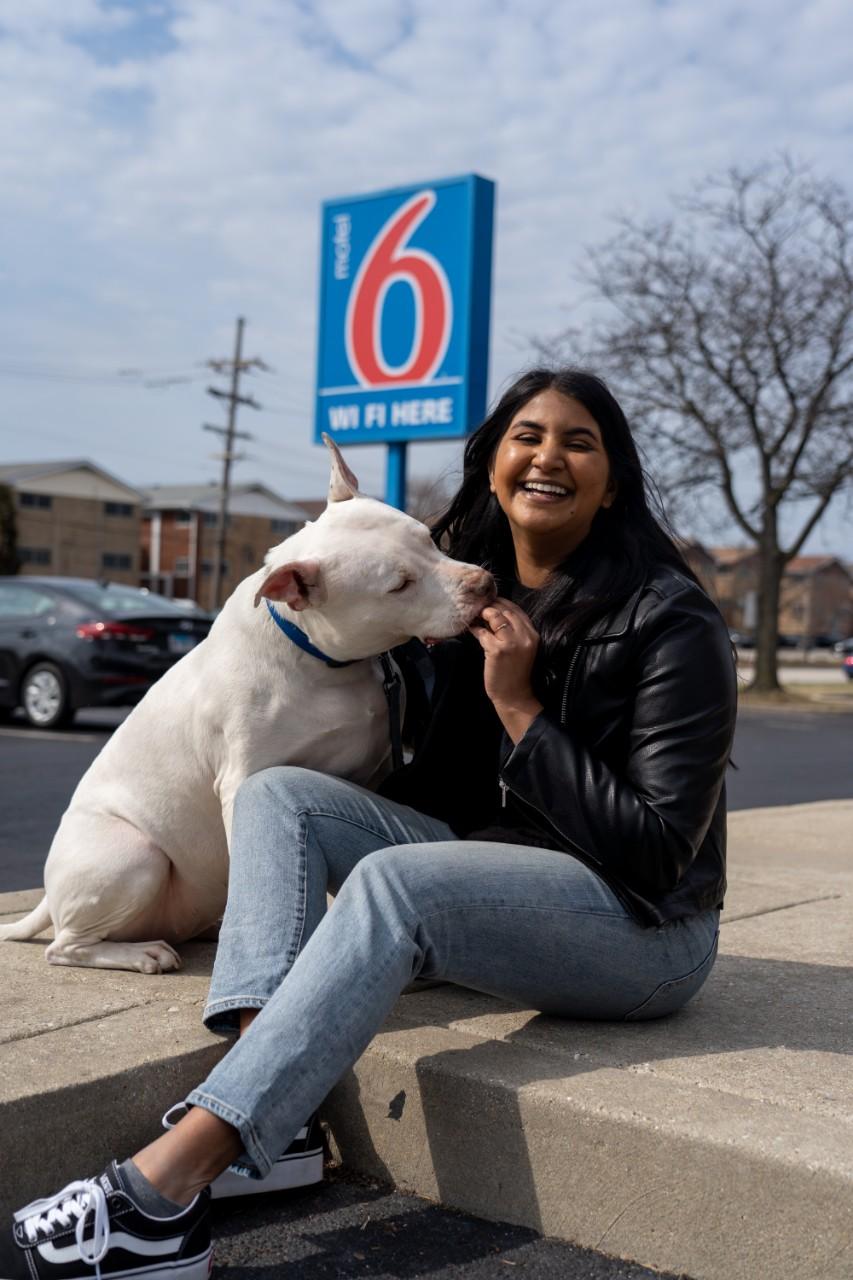 Pets are welcome at Motel 6!