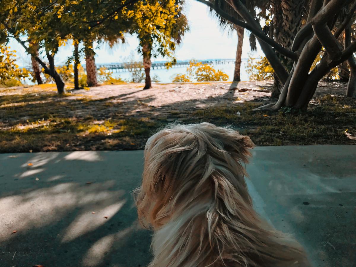 A beautiful spot to be
