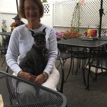 Tommy's Burger Stop restaurant view 1