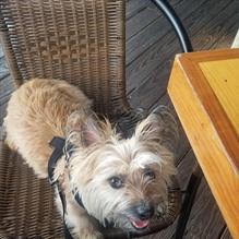 Castaways restaurant view 12