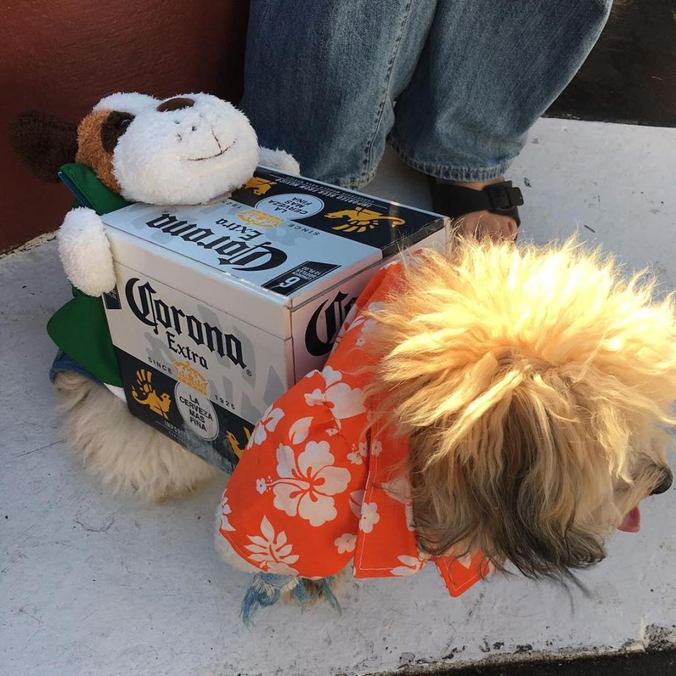 Dog Bar Yappy Hour on Lincoln Road, South Beach. Miami's Dog Bar hosts a monthly Yappy Hour on Lincoln Road.