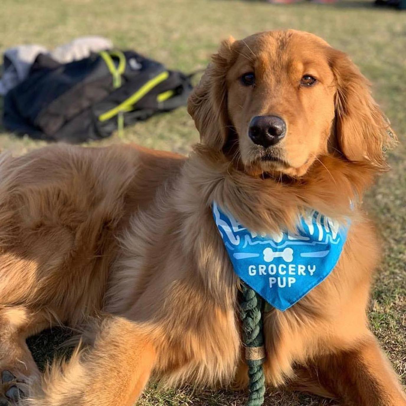 Skip brunch and head to First Sundays Yappy Hour in Austin, TX. First Sundays in Austin is the Yappy Hour alternative to Sunday brunch!