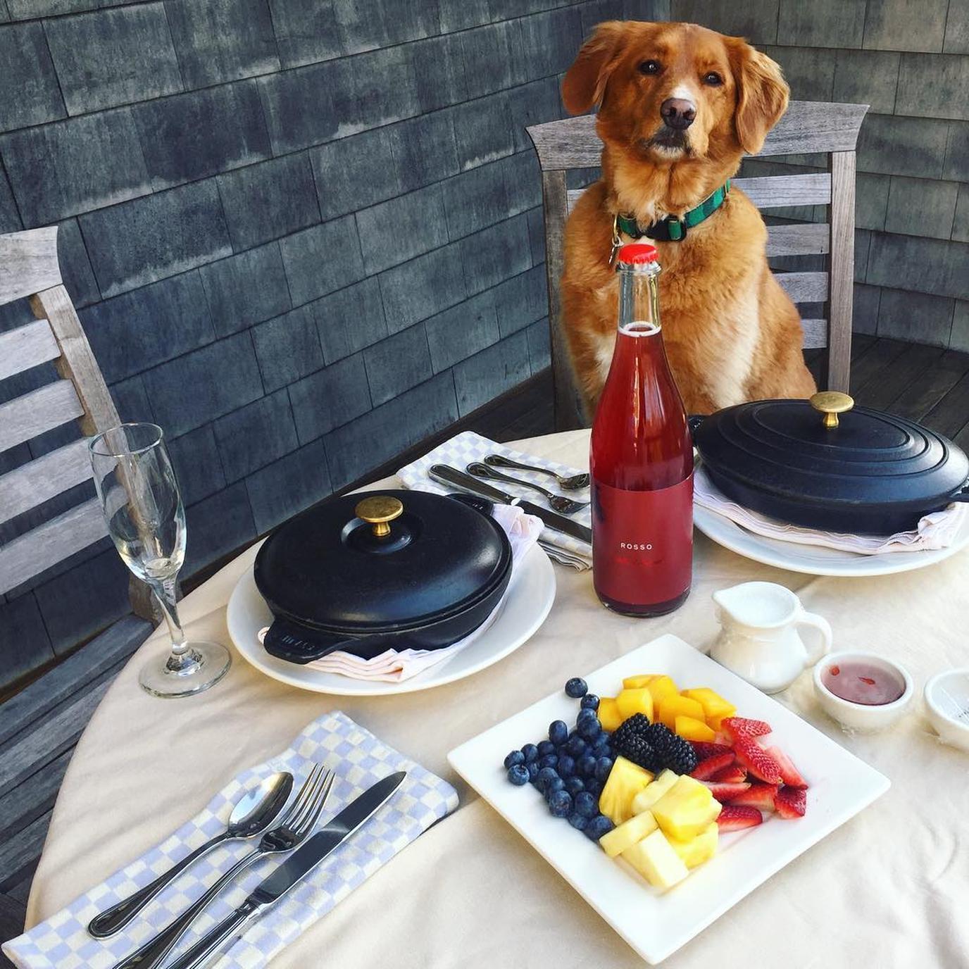 Eat breakfast with your dog in East Hampton at Mill House Inn. The best breakfast in the Hamptons with your dog is at the Mill House Inn.