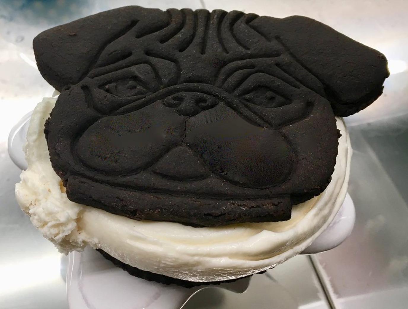 Pugnuts sells dog-friendly ice cream, like the famous pup cup. Get dog-friendly ice cream from Pugnuts in Surry, ME
