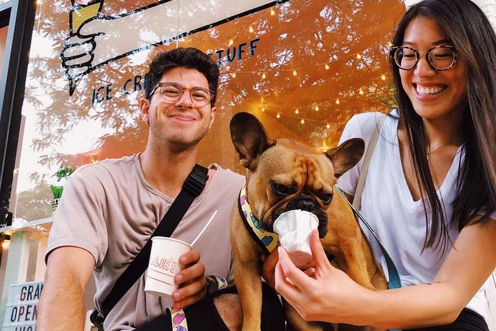 Sunday Sundaes: Where to Treat Fido to a Dog Ice Cream