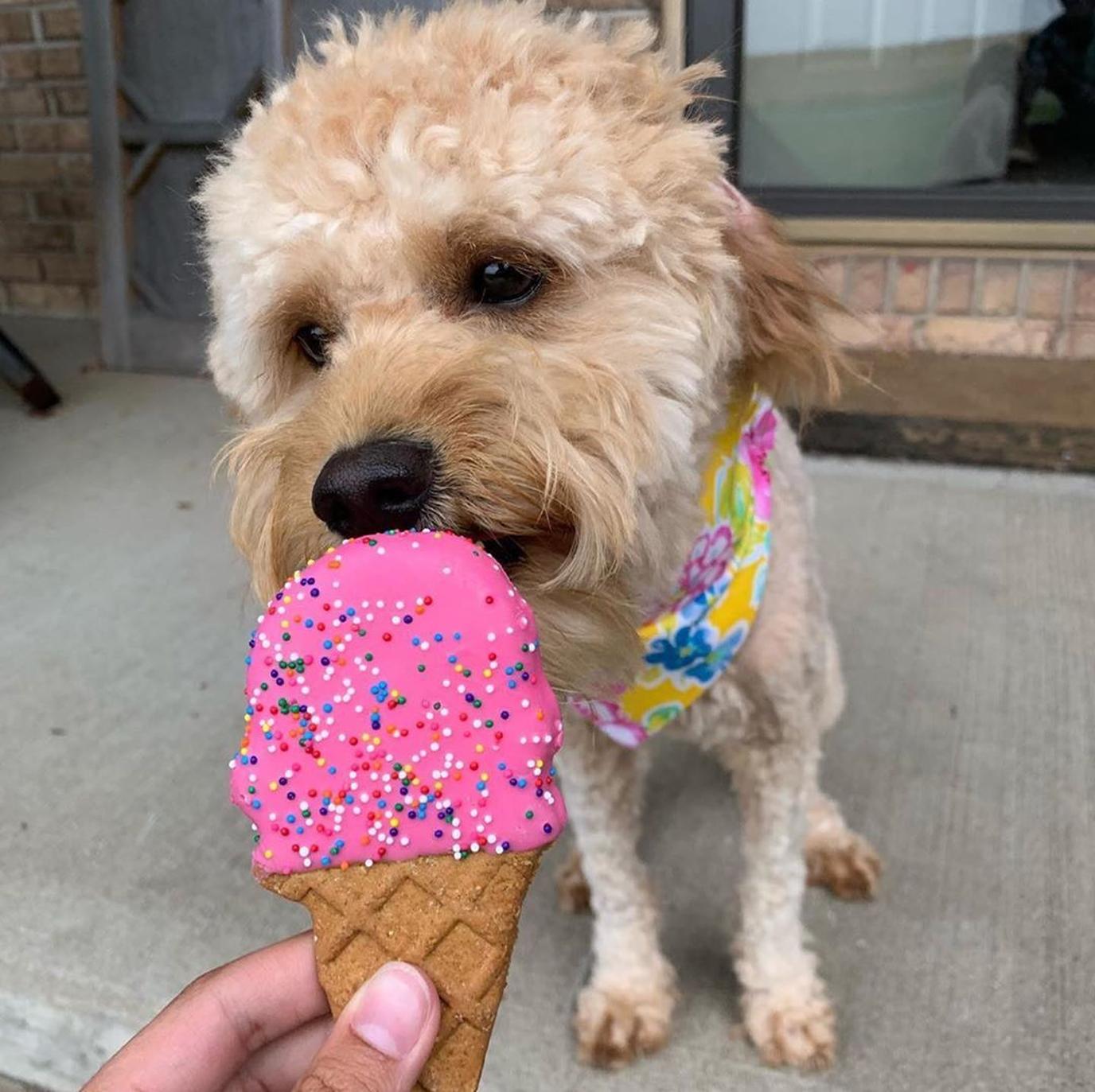 Woof Gang Bakery serves a delicious dog ice cream. Woof Gang Bakery serves a delicious dog ice cream at select stores.
