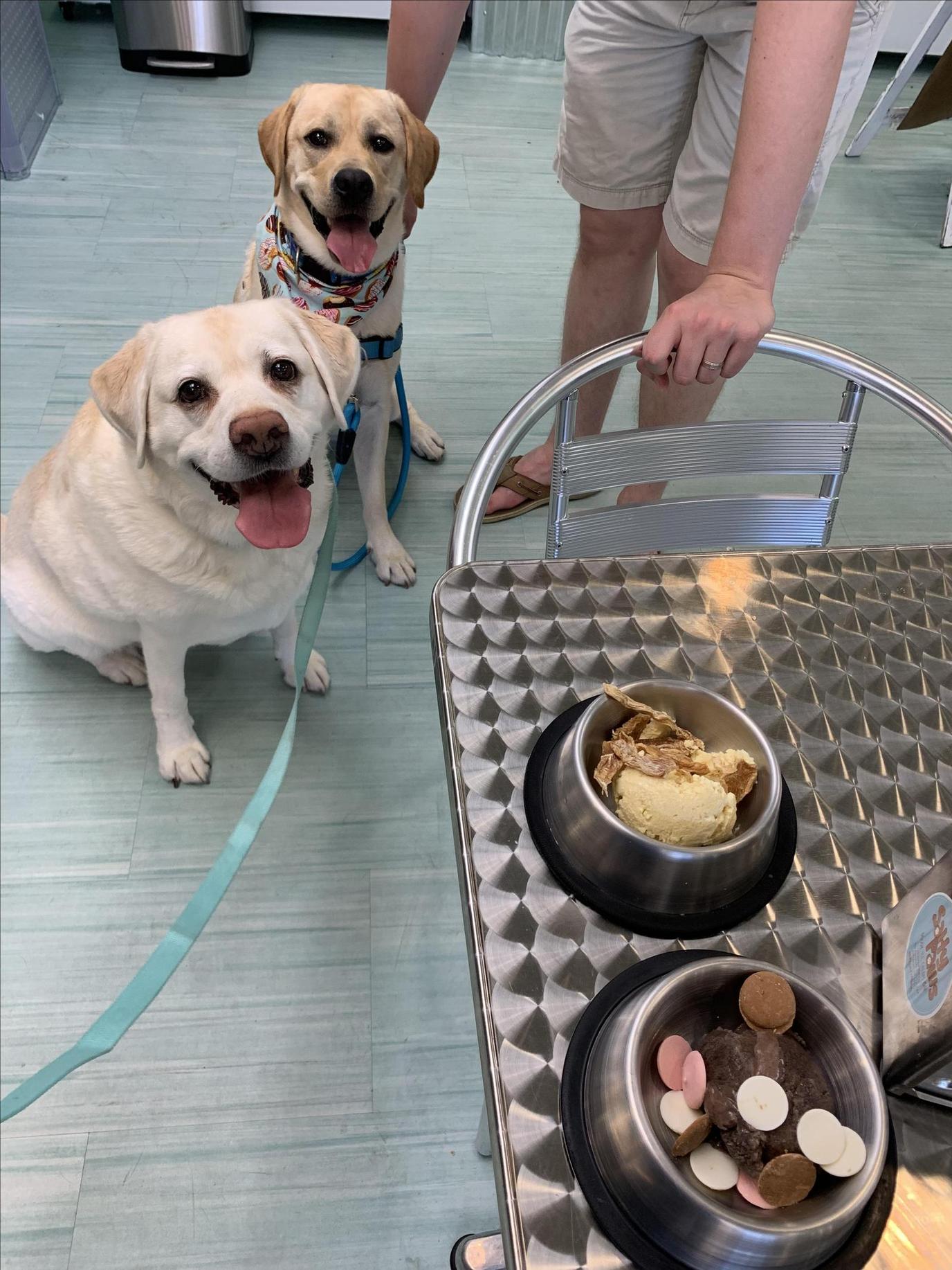 Salty Paws in Rehoboth Beach serves a variety of dog ice creams. Salty Paws served has a menu of dog ice creams for Fido to choose from.