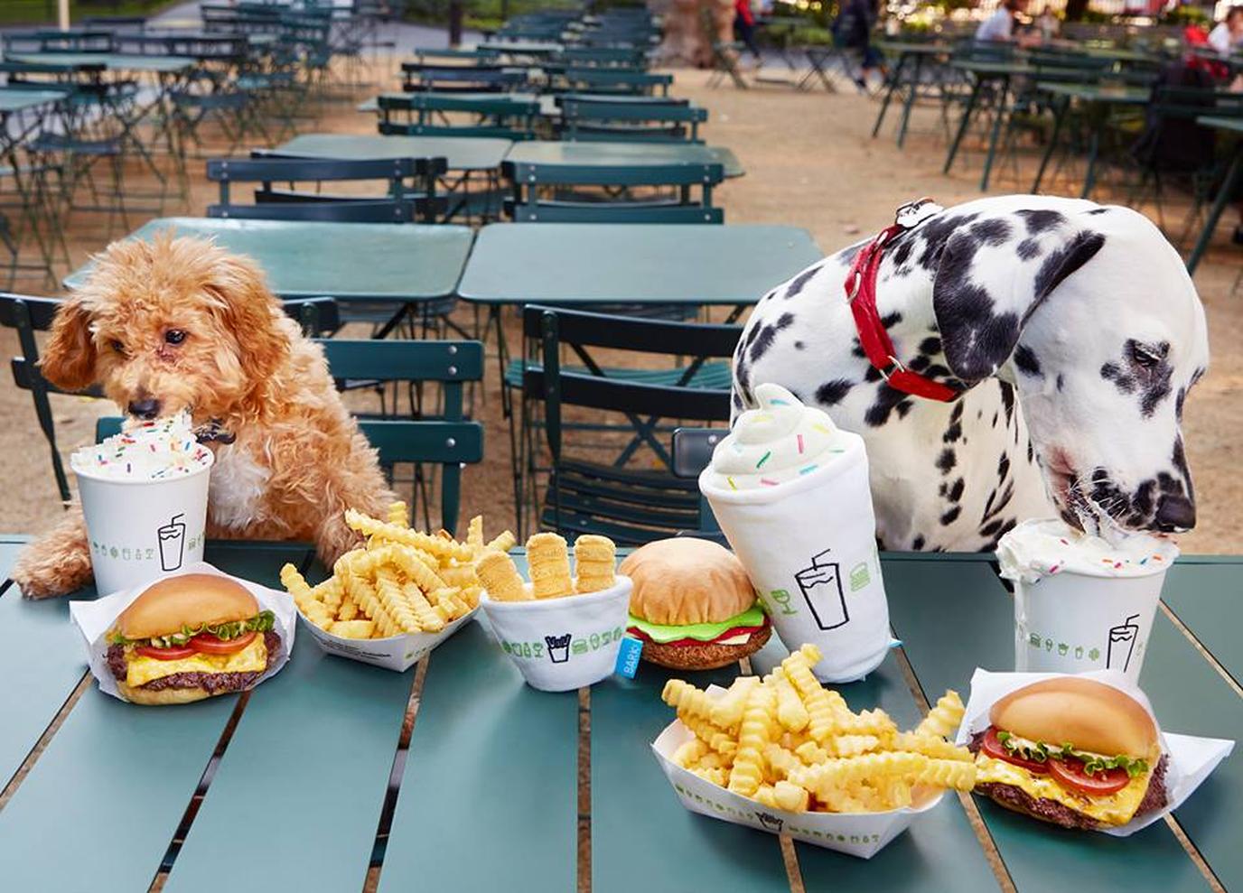 Select Shake Shack locations serve a dog-friendly ice cream known as the Pooch-ini. Shake Shack is a dog-friendly restaurant chain known for its Pooch-inis.