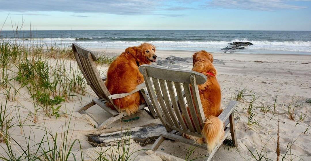 Hampton Holiday Rentals Homes Hampton Holiday Rentals Homes