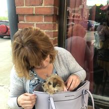 Silver Street Tavern restaurant view 1