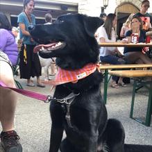 Atwater in the Park restaurant view 1