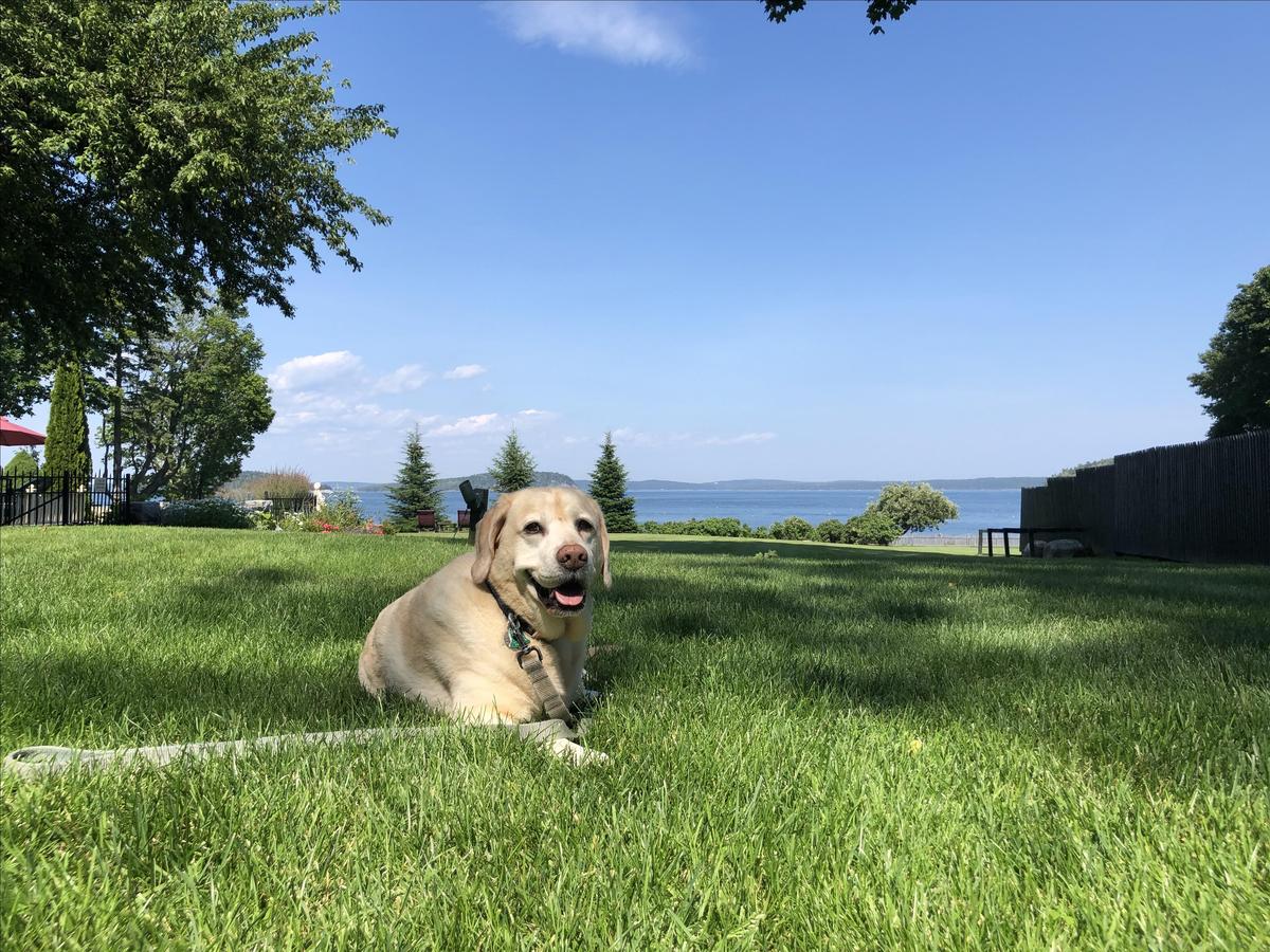Enjoying the view