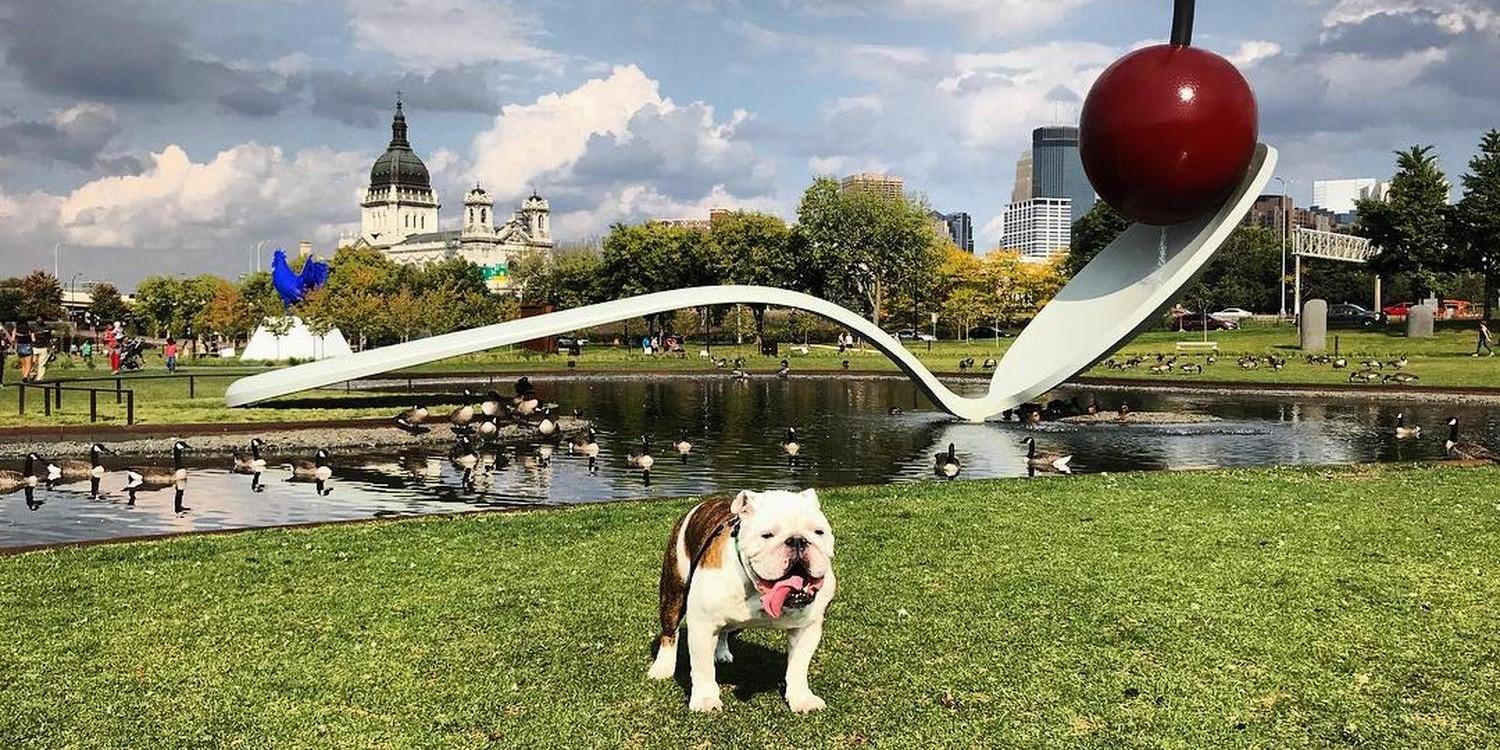 Spend a weekend in dog-friendly Minneapolis, Minnesota!