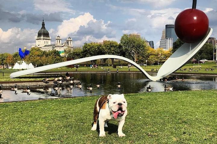 Spend a weekend in dog-friendly Minneapolis, Minnesota!