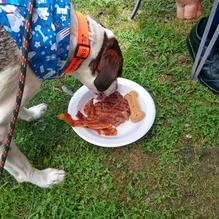 Kelsey Road House restaurant view 3