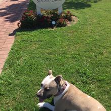 The Oyster Farm Seafood Eatery restaurant view 1