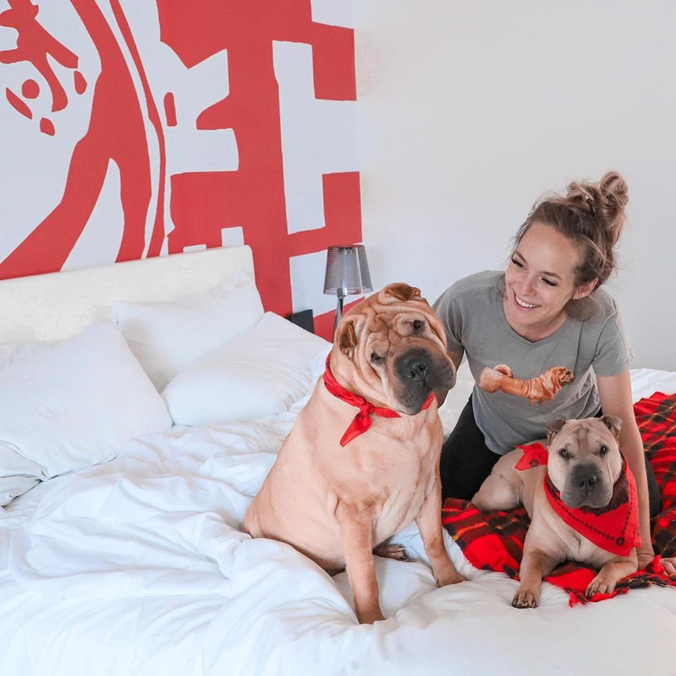 Radisson RED is a dog-friendly hotel in Minneapolis. Feel at home at the dog-friendly hotel Radisson RED Minneapolis.