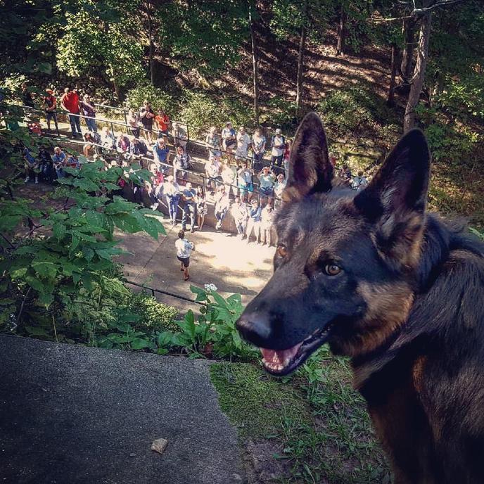 Cruise with your dog in the Wisconsin Dells. Take a pet-friendly day cruise with Dells Boat Tours in Wisconsin Dells.