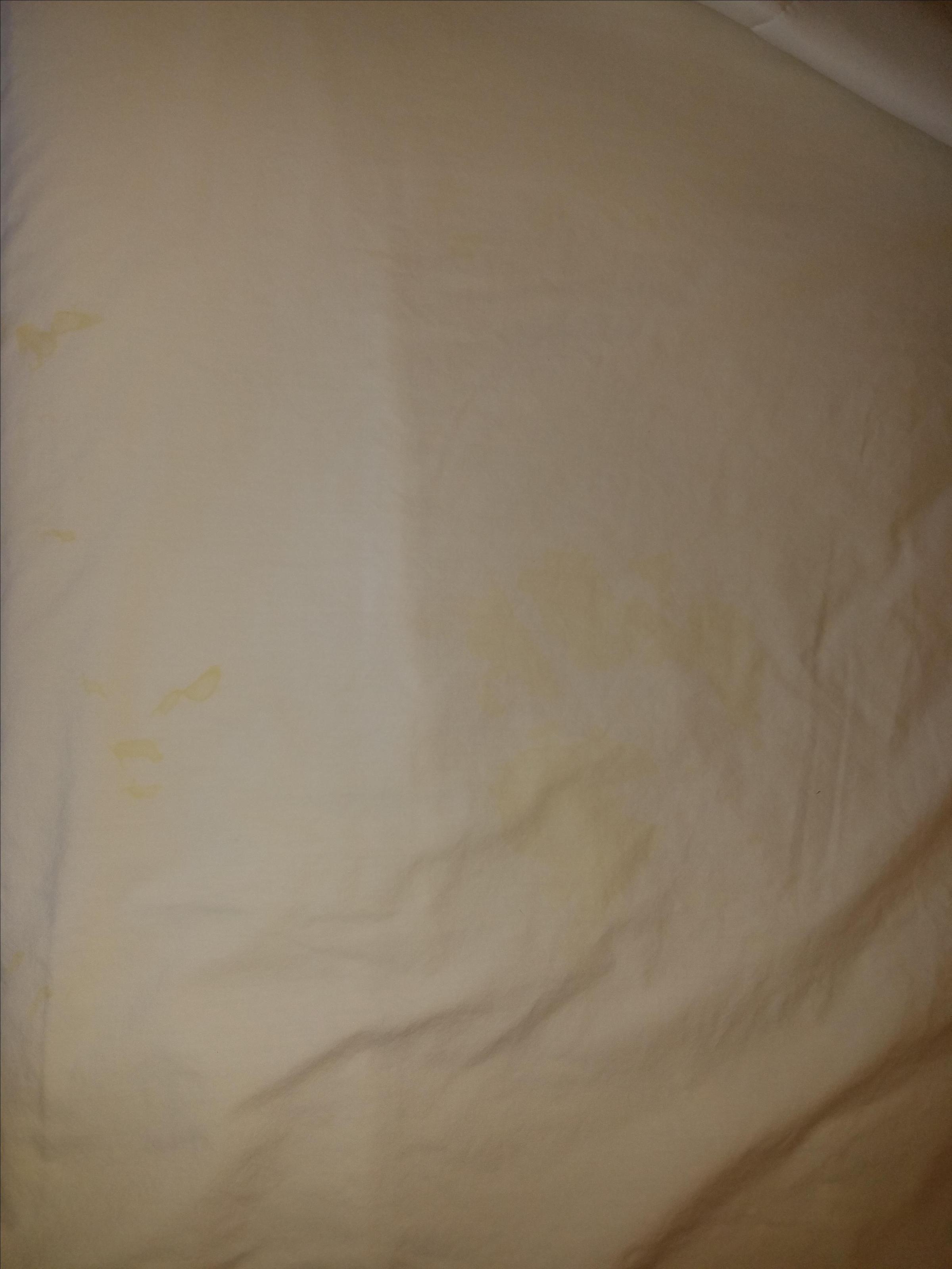 Urine stained sheets ⋆ BringFido
