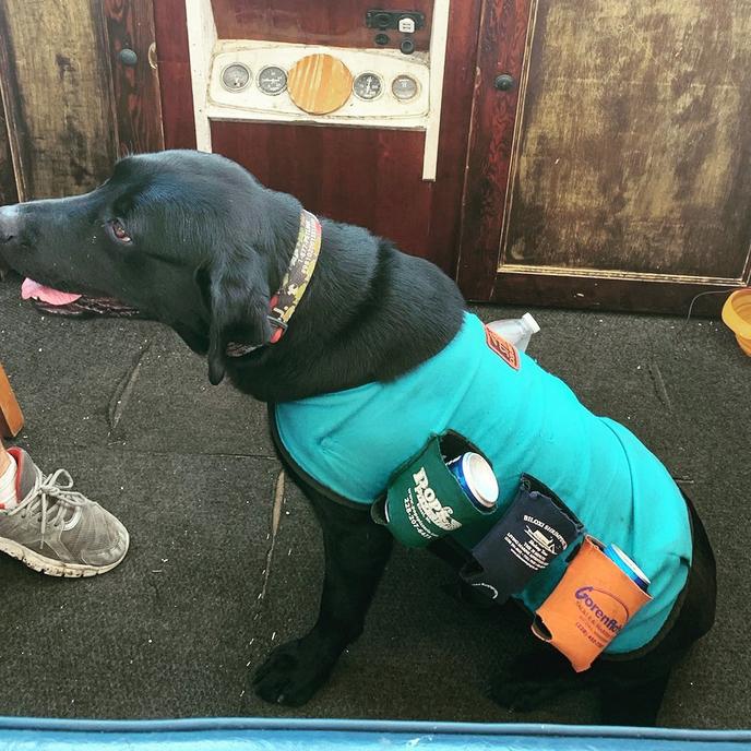 Biloxi Shrimping Tours runs pet-friendly boat trips down the Mississippi River. This pet-friendly tour of the Mississippi will teach you and Fido all about the shrimping trade.