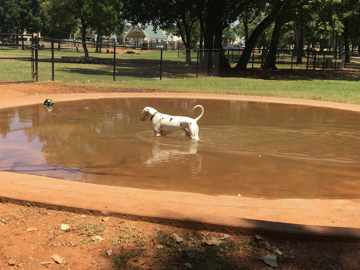 Dog Friendly Midwest City, OK BringFido